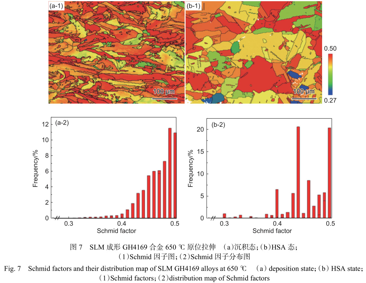 原位拉伸研究熱處理對激光選區(qū)熔化GH4169合金組織及650℃力學(xué)性能的影響
