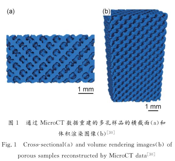 鈦合金在骨科植入領(lǐng)域的研究進(jìn)展