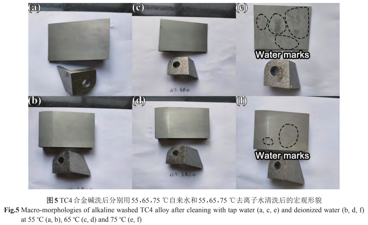鈦合金零件表面堿洗及水洗留痕形成機(jī)制與腐蝕過程控制
