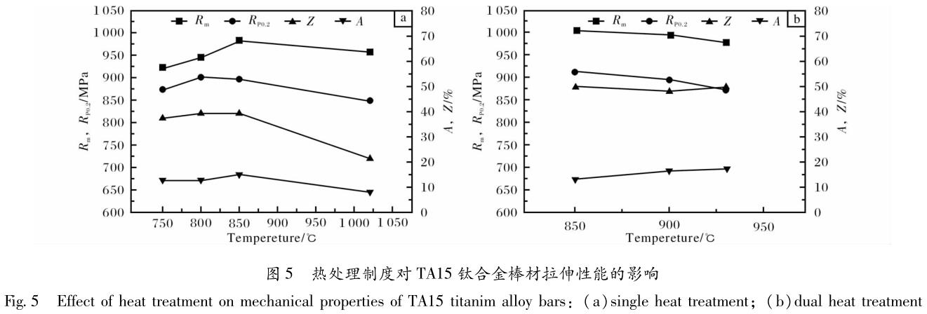 1695565539309826.jpg t5.jpg