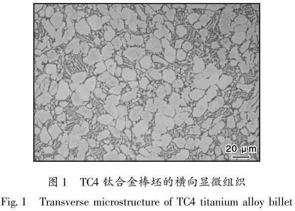 1695714541350284.jpg t1.jpg