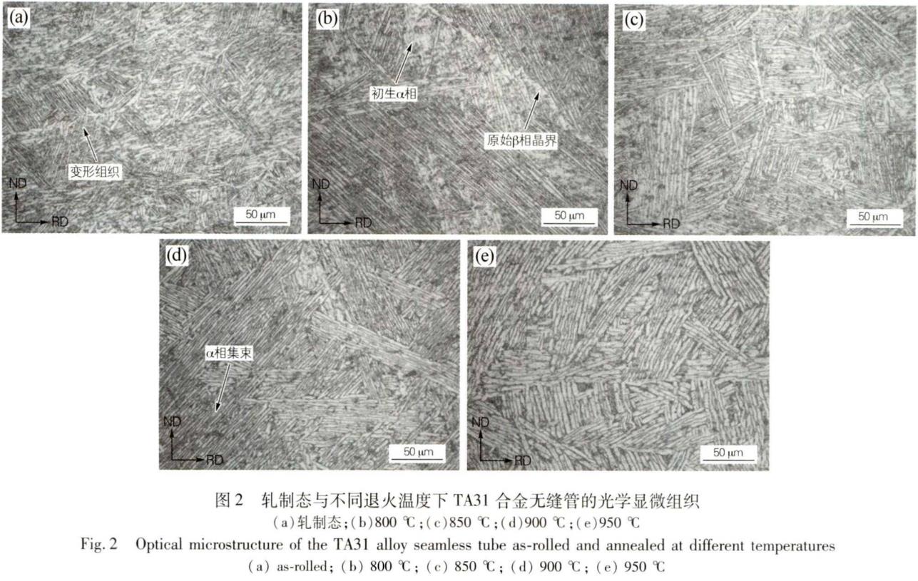 1695806246776414.jpg t2.jpg