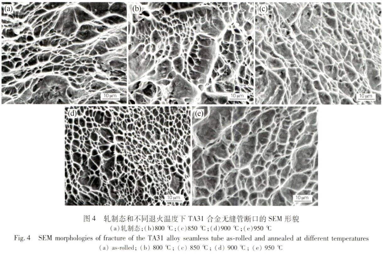 1695806280711941.jpg t4.jpg