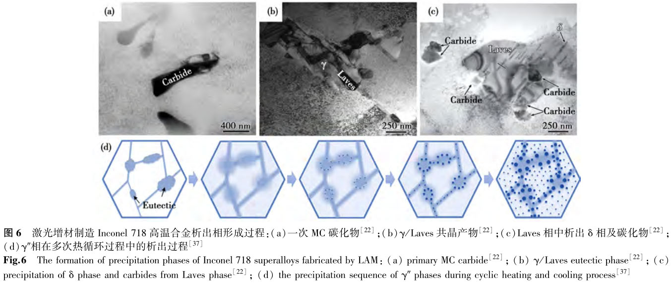 1699451462427941.jpg t6.jpg