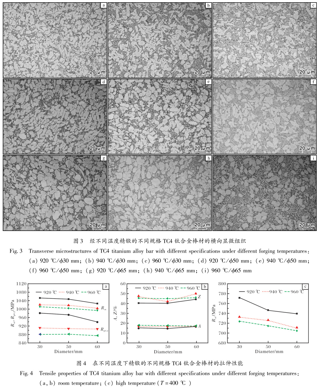 1695714333566257.jpg t3-4.jpg