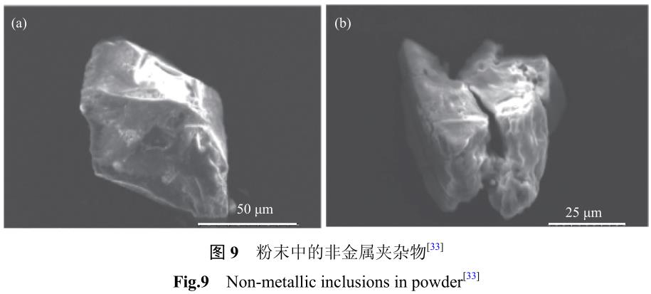 1708140117699906.jpg t9.jpg