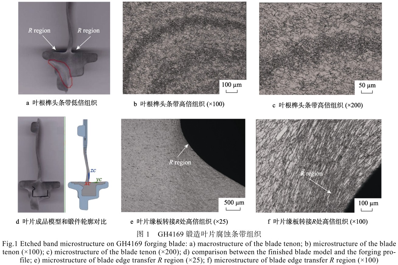 1713672462750903.jpg t1.jpg