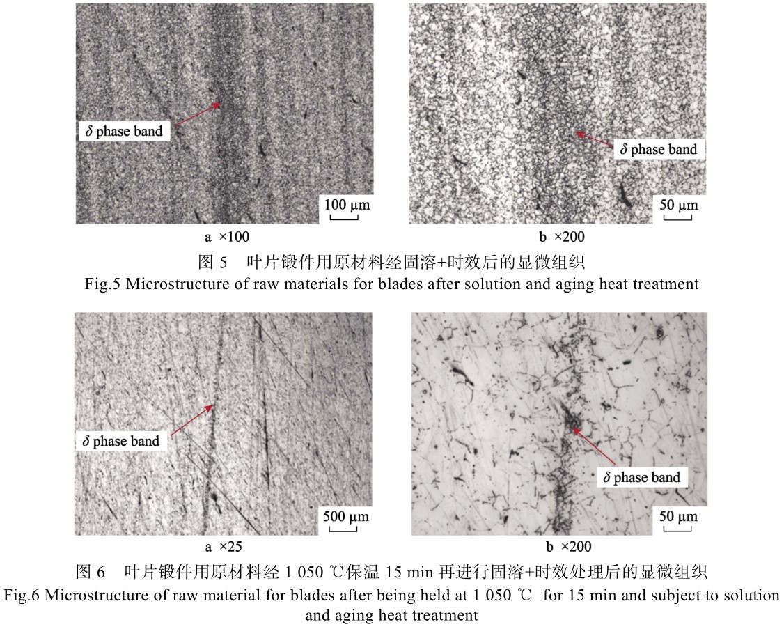 1713672500844930.jpg t5-6.jpg