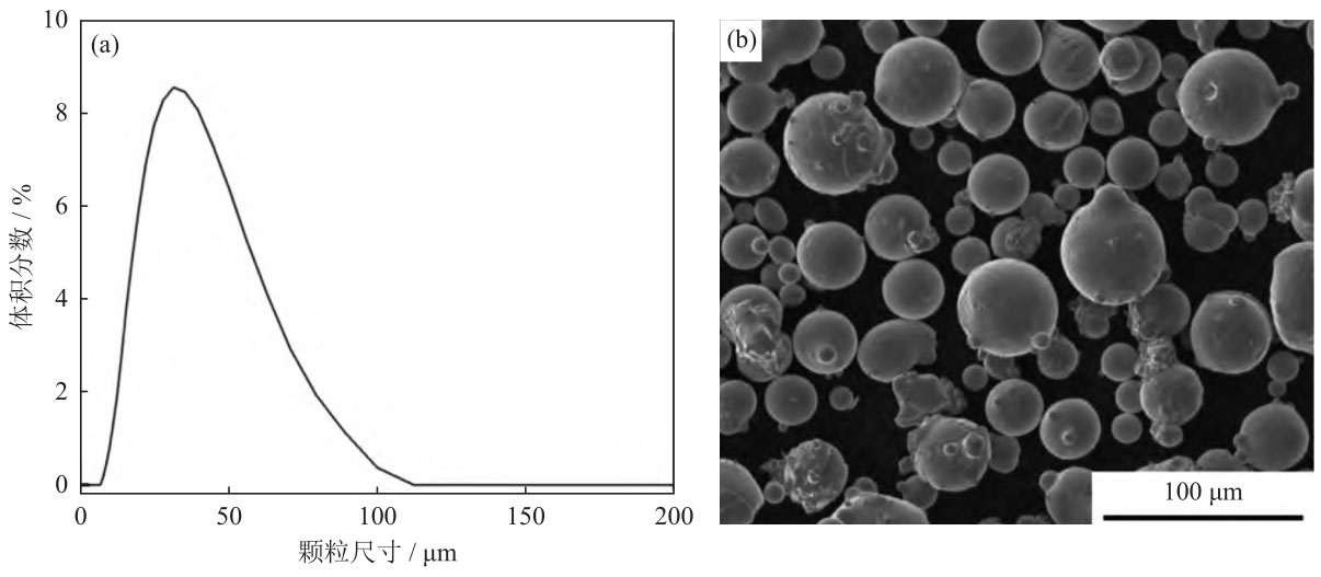 1716367966681929.jpg 1.jpg