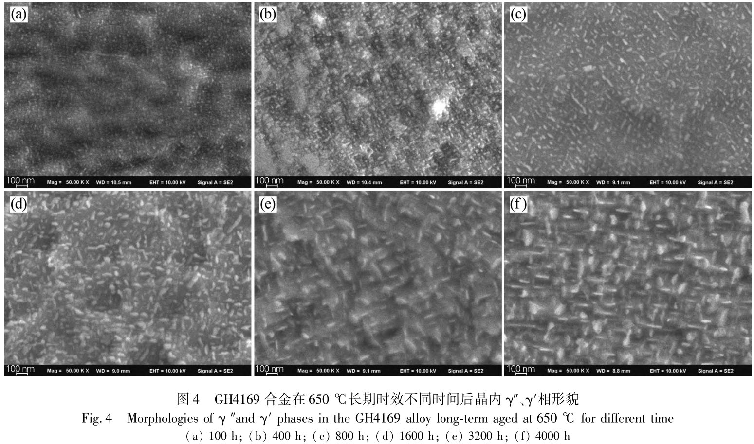 1716539300486618.jpg t4.jpg