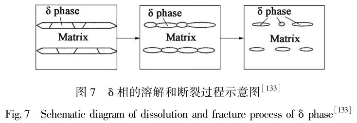 1716558948787289.jpg t7.jpg