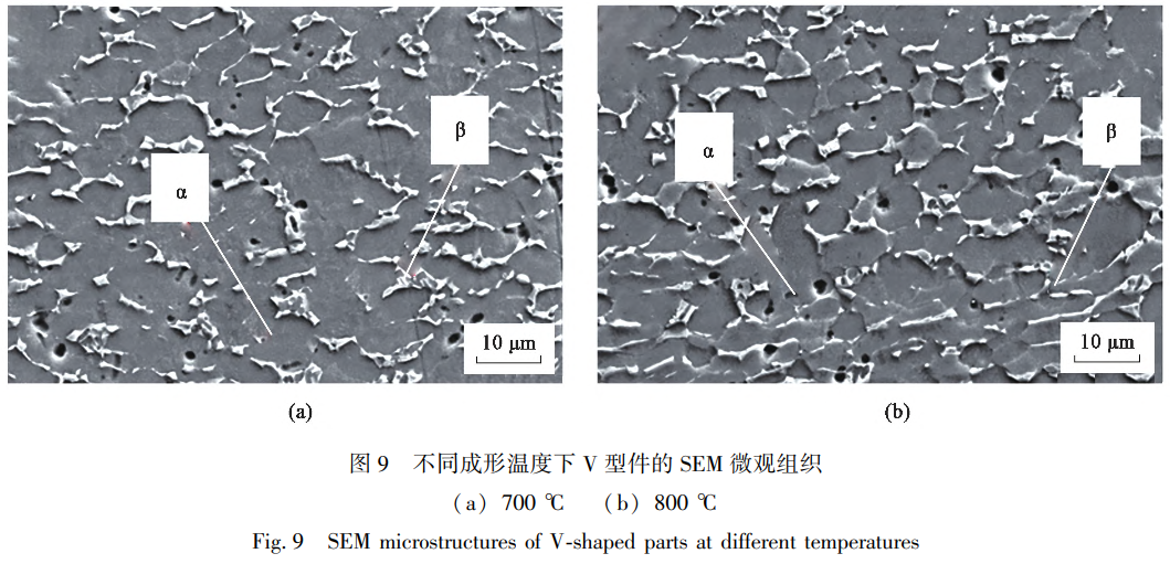 1738670876151045.png 截圖20250204200059.png