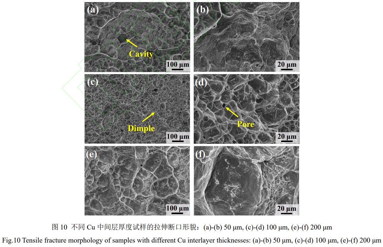 1739067220876200.png 截圖20250208225735.png