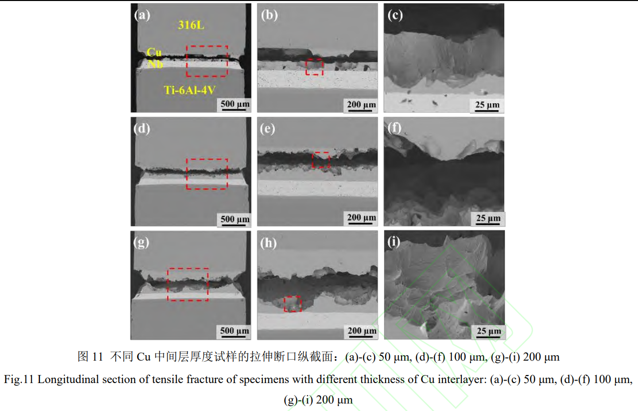 1739067230310525.png 截圖20250208225759.png